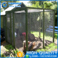 Factory Price Height Quality PVC Coated Plastic chicken wire net pool fence